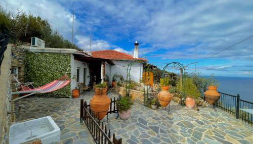 To giataki tou pappou - Foto 5, Garden, Garden view