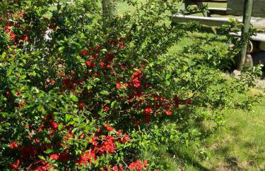 Dom w Sąpach - Foto 73