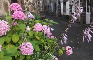 Gite Chez Manon et Pierre Salers - Foto 29