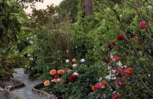 Flower house - Foto 36