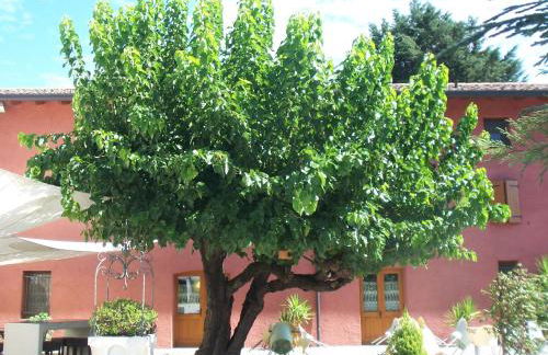 Agriturismo Al Casale - Foto 23