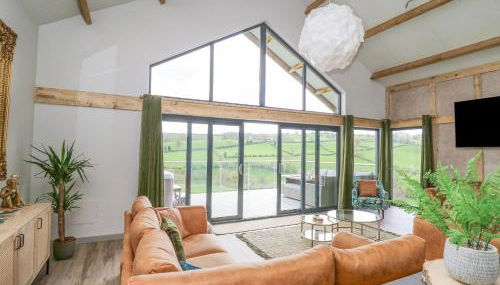 Barcud Coch - Red Kite - Photo 5