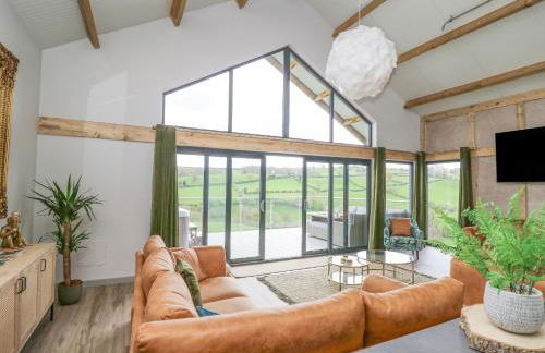 Barcud Coch - Red Kite - Photo 5