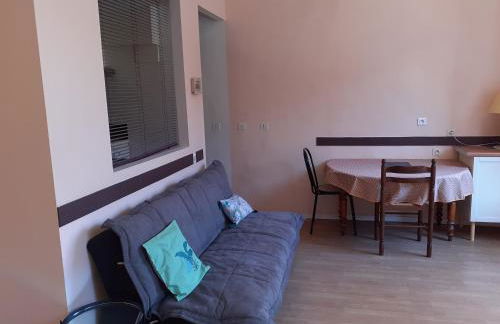 charmant studio équipé au cœur du village - Foto 7