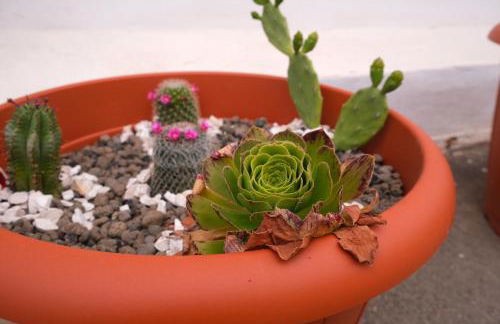 Sunset Beach House Buggerru - Foto 31