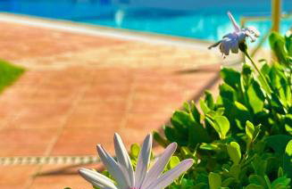 Νηρηίδες Apartments Studios - Photo 13