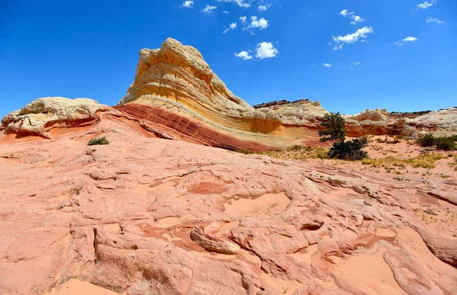 White Pocket Tour - Photo 6