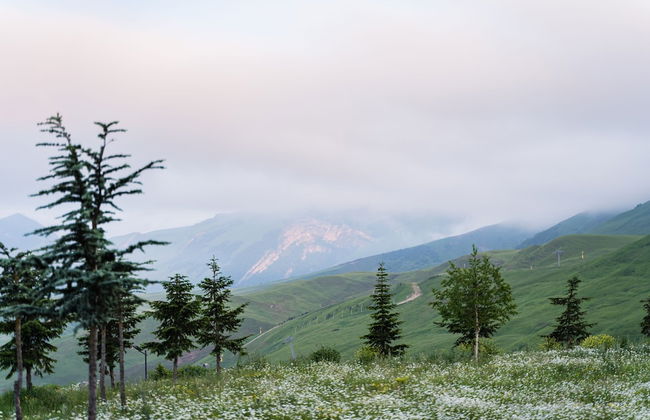 GAYA Residences Shahdag - Foto 65