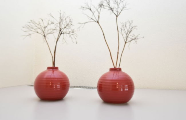 Apartment in Tannesberg Near Goldsteig Trail - Foto 18