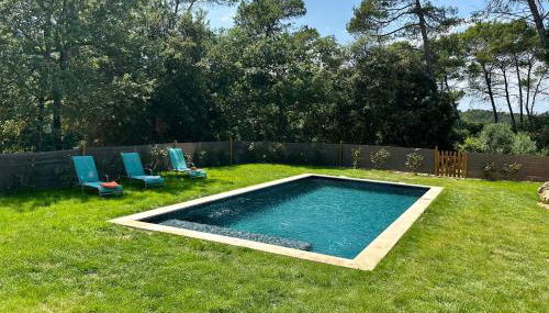 Vigne et cigale - Foto 3