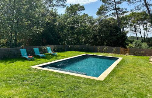 Vigne et cigale - Foto 3