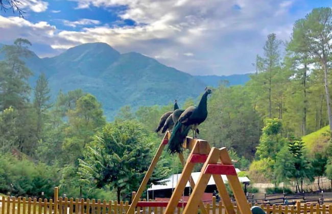 Casa de Montaña Villa Maya - Foto 7