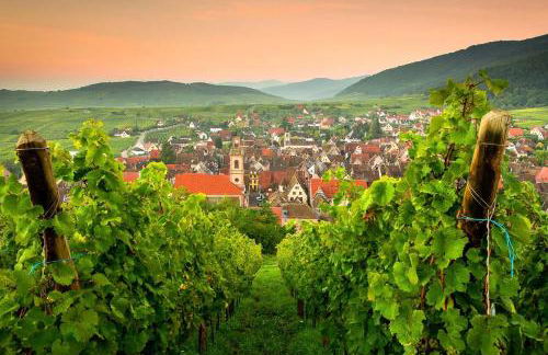 Villa Maeva - Parking, Sauna & Fitness - Foto 38