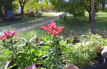 Quinta dos Trevos - Artes e Ofícios - Foto 17