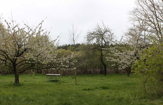 Gorgeous Apartment in Neuburg With Terrace - Foto 47