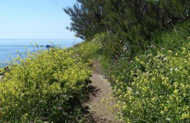 Cottage Sleeps 2- Parking Wood Fire Garden Pets - Foto 53