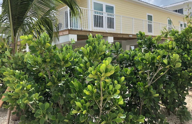 3 Beautiful 4 Bed 3 Bath Pool Home w Free Dock - Foto 12