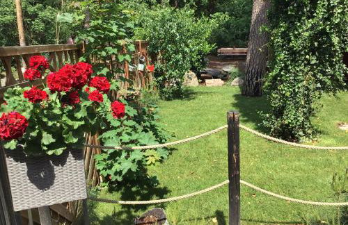 Welsh Dragon - Foto 39