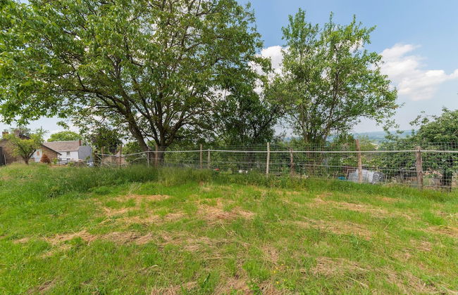 Holiday Home in Marche-en-famenne With Garden - Photo 34