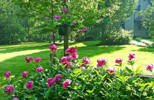 Paddler's Lane Retreat - Foto 39