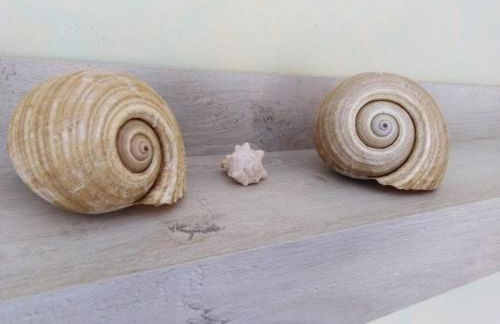 Casa Vacanza SalGiò - Photo 38