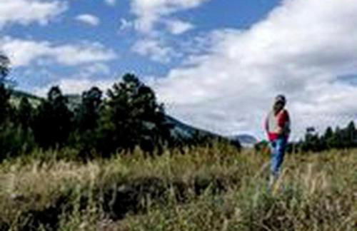 Create Lasting Memories: Family-Friendly Rustic Cabin in New Mexico's Backcountry - Foto 31