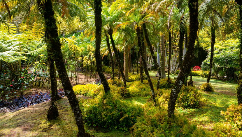 Transporte al Jardín Botánico de Balata