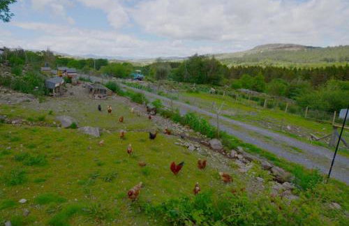 3 Bed in Dolgellau oc-wah569 - Foto 11