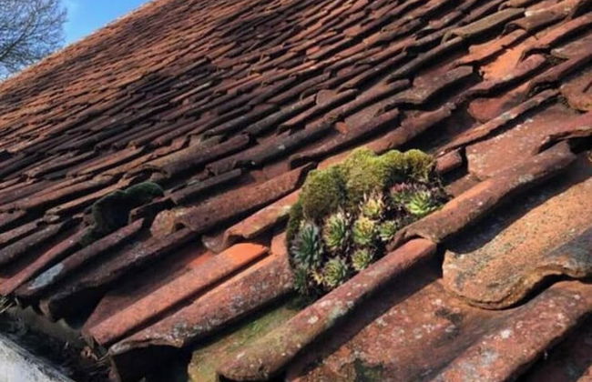 Swanenhuus Modern Retreat - Foto 13