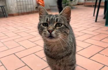 Una casa ospitale con giardino - Foto 57