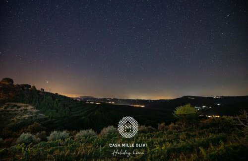 Casa Mille Olivi - Peaceful Lake View House, Private 50m2 Pool, near Motovun - Photo 51