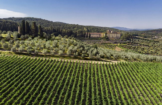 Torre a Cona Wine Estate - Foto 41