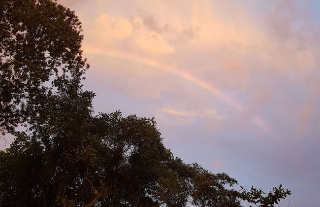 Cupido Beach SPA Resort - Foto 69