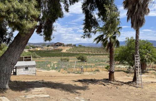 Temecula Rejuvenation - Foto 16