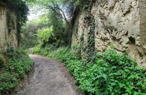 Winzerhof Henkenberg - Foto 14