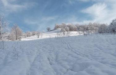 Raj pod lasem - Foto 34