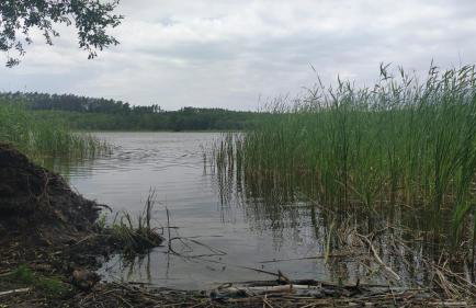 Relaks w boberkach Prywatna sala do Bilarda - Foto 52