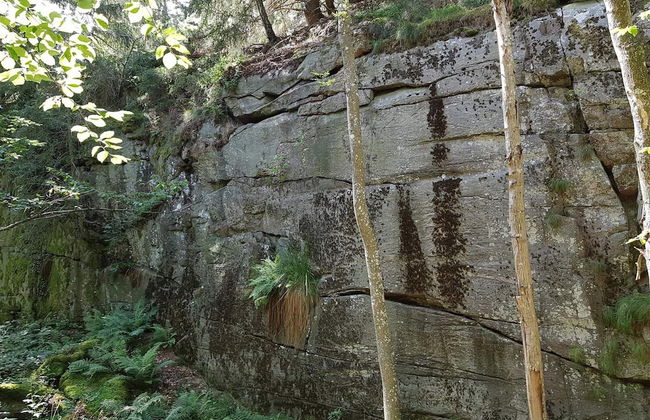 Seaside Idyll in Svaneke - By Traum Ferienwohnungen - Foto 17