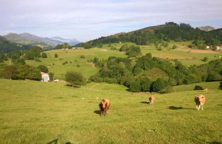 El Portiellu - Foto 70
