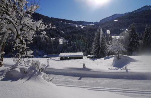 Ferienhof Almfrieden - Photo 8