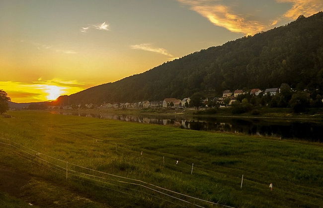 Ferienhaus Elbufer 83 - Foto 63