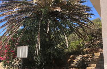 Egidio's House Casa Vacanze Portixeddu - Foto 9