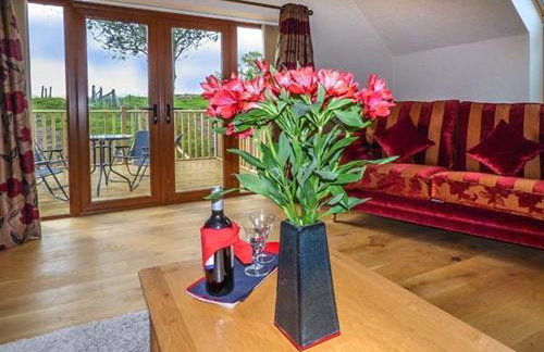 Brynhir Farm - Foto 11