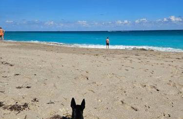 3 bedroom Casa Azul in Historic Northwood Hills - Foto 2