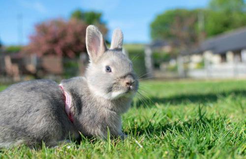 3 Bed in Whitwell oc-h33498 - Foto 21