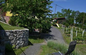 Iva's Place - Foto 63