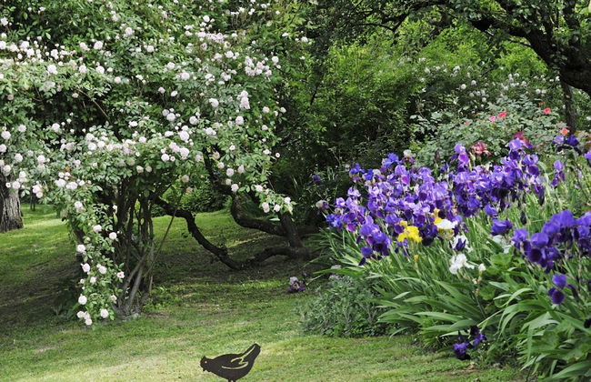 La Traversina - Agriturismo di Charme - Foto 33