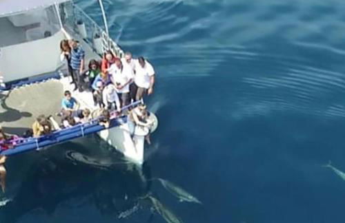 BlueSun Apartments - Foto 66