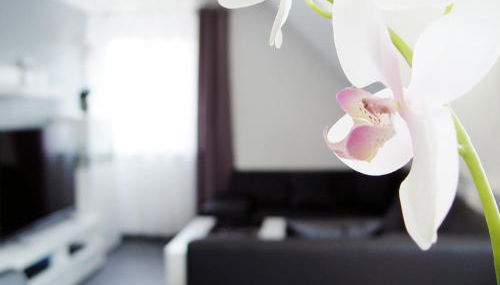 La Domus Premium Osnabrück Lotte - Foto 3, Other