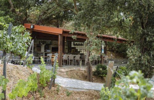 Feel Discovery Alvim's Douro - Foto 46